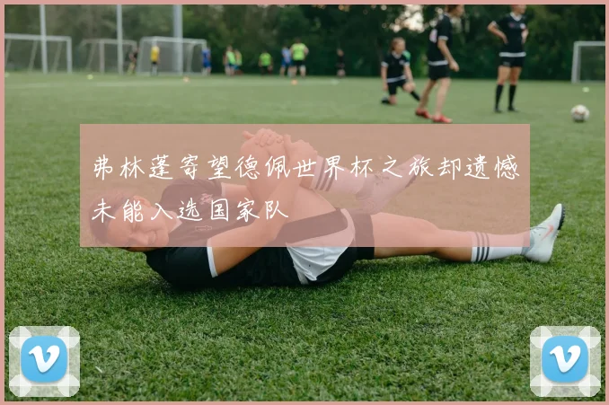 弗林蓬寄望德佩世界杯之旅却遗憾未能入选国家队